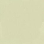 Venus Velvet 2927 (krem)
